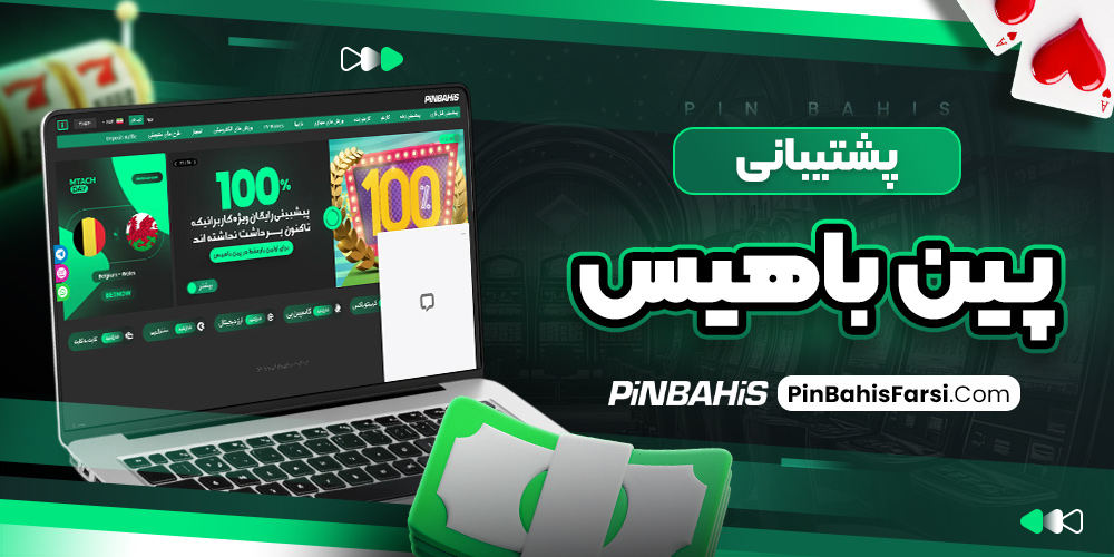 پشتیبانی پین باهیس